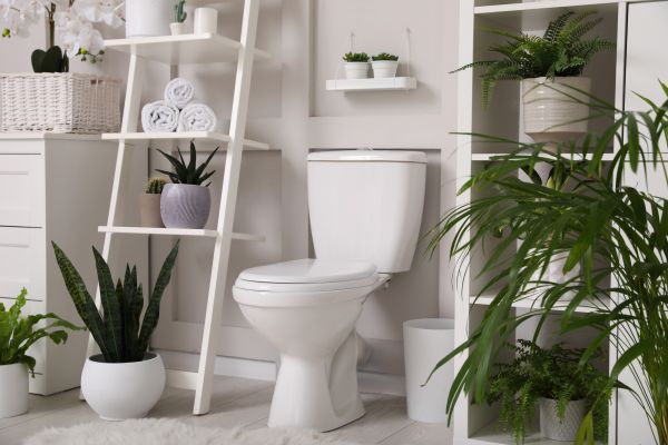 Cost of Toilet Repair in Brighton