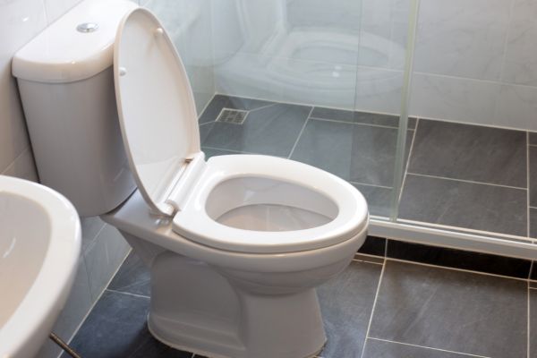Cost of Toilet Replacement in Brighton