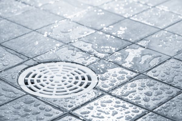 Shower Drain Repair in Brighton