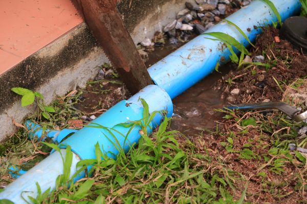 Cost of Broken Pipe Replacement in Brighton